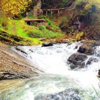 Ordu'nun tanıtımına sosyal medyalı destek!