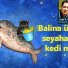 Balina üzerinde seyahat eden kedi misali...