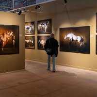 212 Photography Istanbul'un Dokuzuncu Edisyonu Sanatseverlerin Yoğun İlgisi ve Katılımıyla Sona Erdi