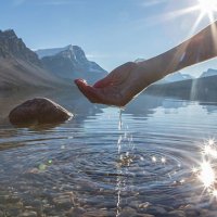 Aç kalmak rahatsız etmiyorsa, aptal olmak da etmez…