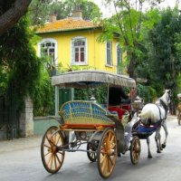 Adalar Vakfı'ndan İstanbul'un hafızasına yolculuk: Adalarda Hayat Var belgeseli yayında