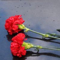 Anadolu Ajansının (AA) acı günü !