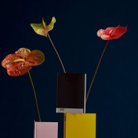 Anneler Günü'nde Pantone Renkleriyle Duygularınızı Anlatın