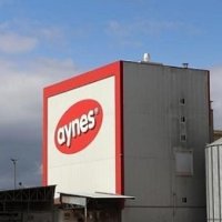 Aynes gıda yönetimi TMSF'ye devredildi