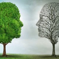 Bozukluk gören gözde…