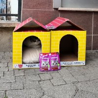 “Bu Bir Koli Değil, Bir Yuva” Projesi, Sevkiyatı; Güçlü Bir Sosyal Fayda Hikâyesine Dönüştürüyor