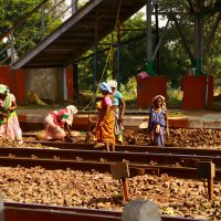 Çalıştıkça fakirleşmek (working poor)…