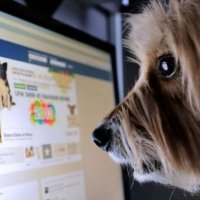 Dünyada her dört kişiden biri Facebook kullanıyor!