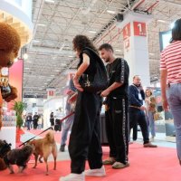 EVCİL HAYVAN SEKTÖRÜNÜN KÜRESEL ZİRVESİ İÇİN GERİ SAYIM BAŞLADI: PETZOO EURASIA 2026 GELİYOR!