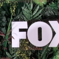 Fox TV'de Yeliz Şirvanlı'ya yeni görev....