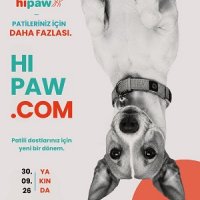 Hipaw, Patili Dost Hizmetlerinde Yeni Bir Dijital Ekosistem Kuruyor