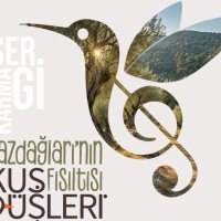 “Kaz Dağları'nın Fısıltısı Kuş Düşleri” Sergisi kapılarını açıyor