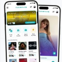 MÜZİK DÜNYASINDA VERİ ODAKLI VE ORGANİK KEŞİF DÖNEMİ: makromusic