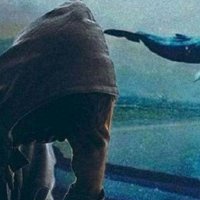 Mavi balina oyun değil siber saldırı!