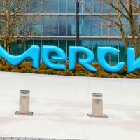 Merck Türkiye yeni sosyal medya ajansını seçti