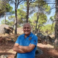 Orman yangınlarını nasıl azaltabiliriz? Ünlü akademisyenden ezberleri bozacak açıklama: Kopyalayın!