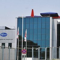 Pfizer İnsan Kaynakları Direktörü belli oldu!