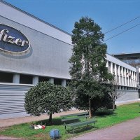 Pfizer'da üst düzey atama 