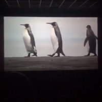 Saadet Partisi'nden Penguenli reklam