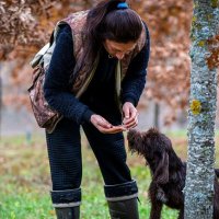 Türkiye'de yalnızca Arcadia Bağları'nda yetiştirilen siyah kış trüfü toprakla buluştu
