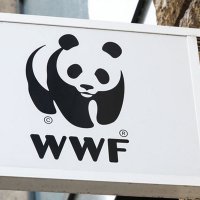 WWF-Türkiye dijital ajansını seçti