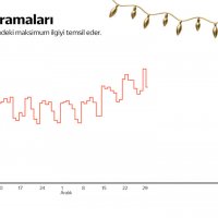 Yandex Arama verileri, Türkiye'nin yeni yıl önceliklerini ortaya çıkardı