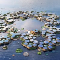 Yüzer şehirler projesi: Oceanix City