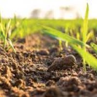 Zamanın karakteri…