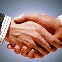havucum.com iletişim çalışmaları için Marjinal PN ile anlaştı!
