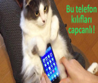 Benim sevimli canlı telefon kılıfım!