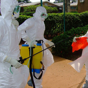 Ebola mutasyona uğruyor
