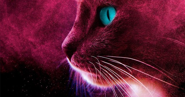İzmir Kısa Film Festivali jüri üyeleri açıklandı