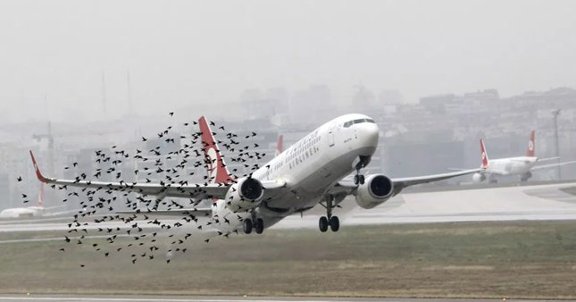 Kuşları havaalanından uzak tutan dron