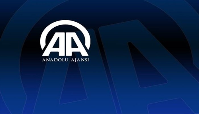 O global yarışmadan Anadolu Ajansı'na fotoğraf ödülü