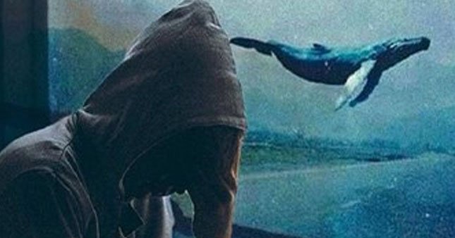 Öldüren oyun Mavi Balina’ya üçlü kıskaç!