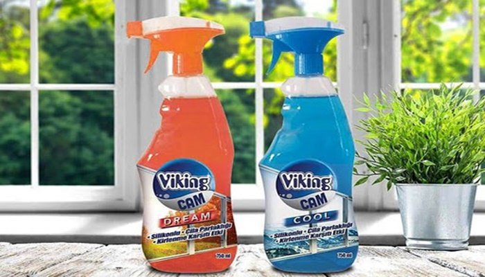 Viking Temizlik ödüle layık görüldü!