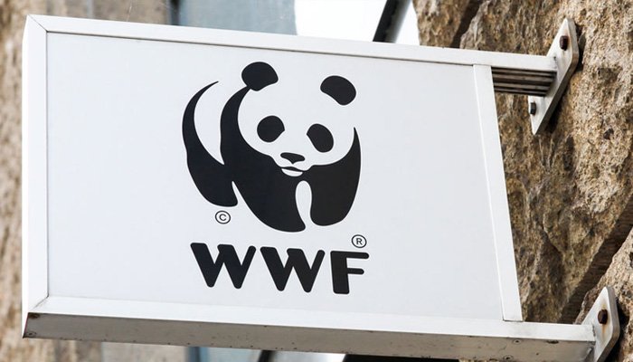 WWF-Türkiye dijital ajansını seçti