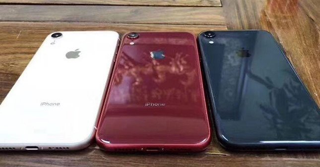 iPhone XC satışa çıkıyor