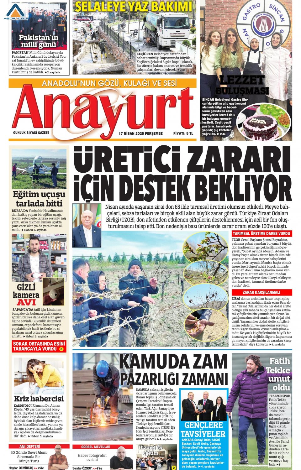 Anayurt