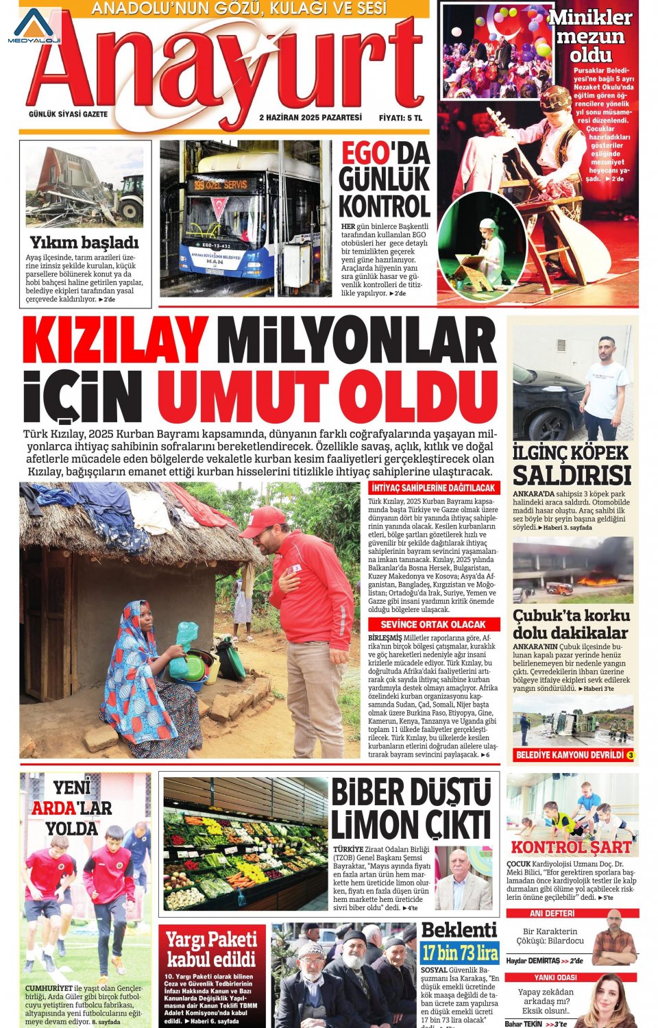 Anayurt