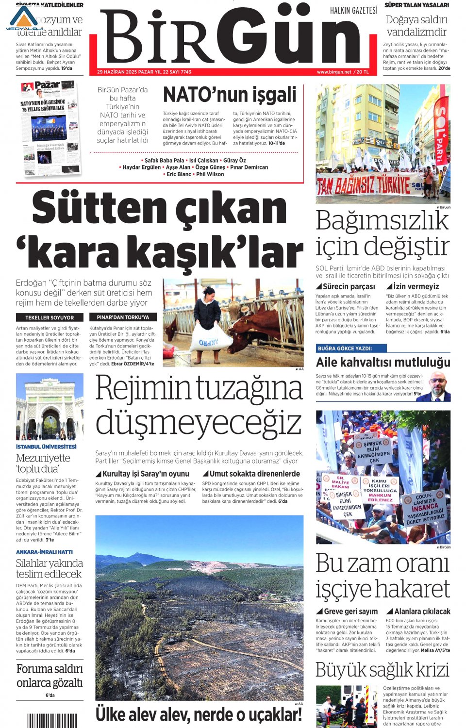 Birgün