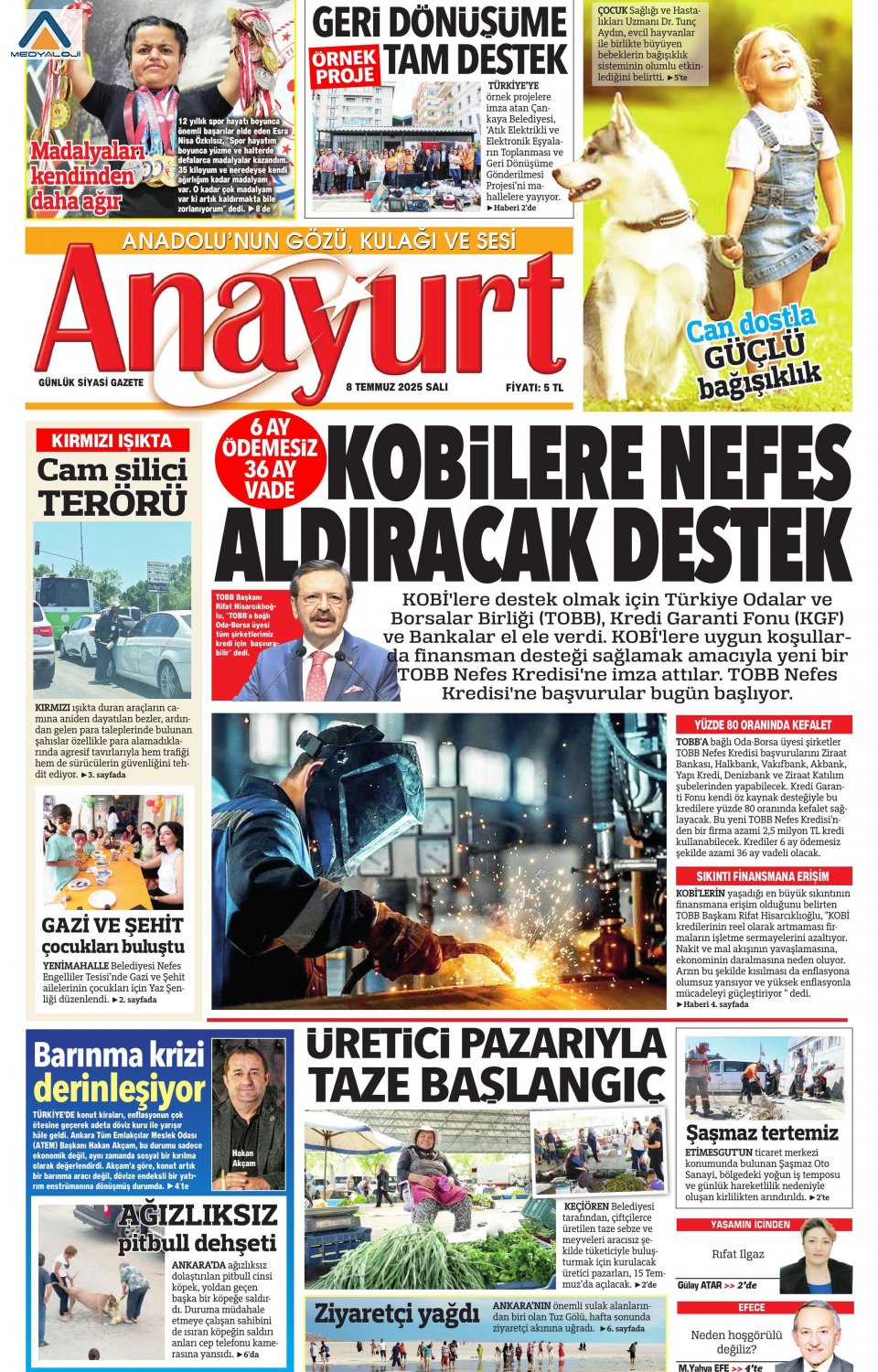 Anayurt