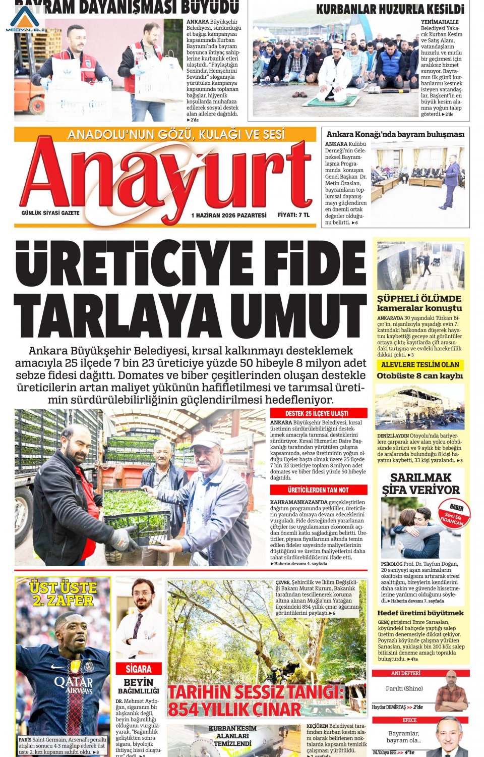Anayurt