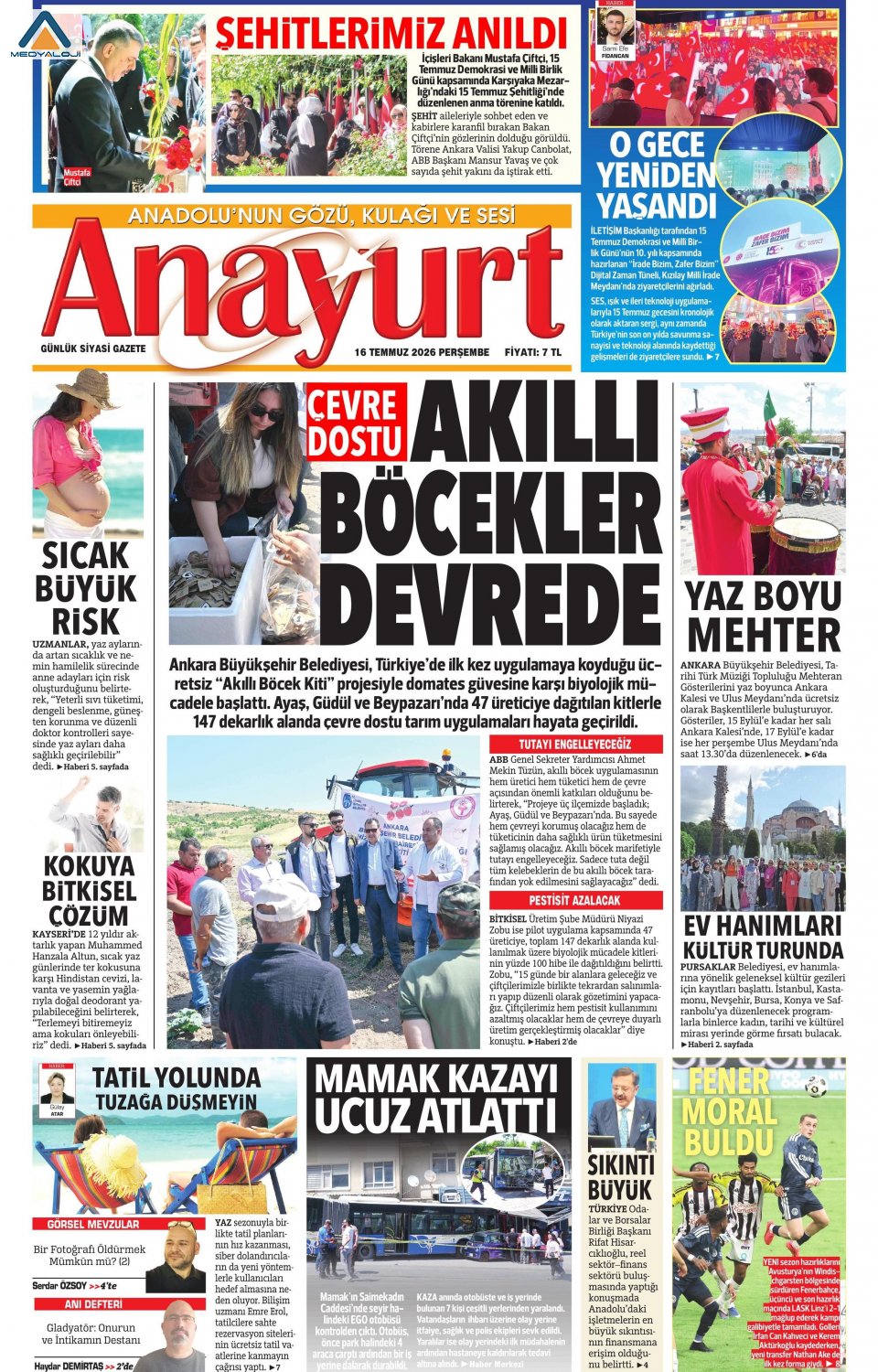 Anayurt
